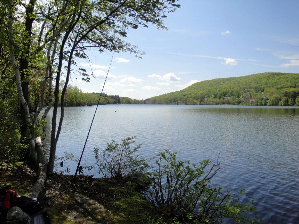 Franklin Lakes Border, NJ - 5 Things About The Franklin Lakes Nature Preserve | Wyckoff, NJ Patch