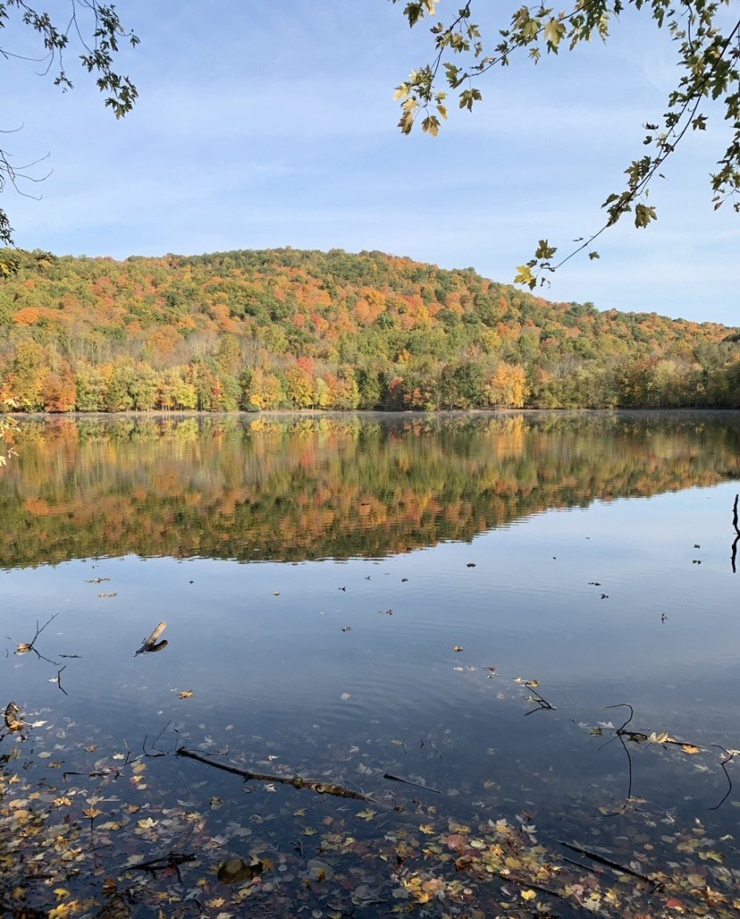 Ramapo Valley, NJ - Take the Kids: Visit the Ramapo Valley County Reservation - NJ Family